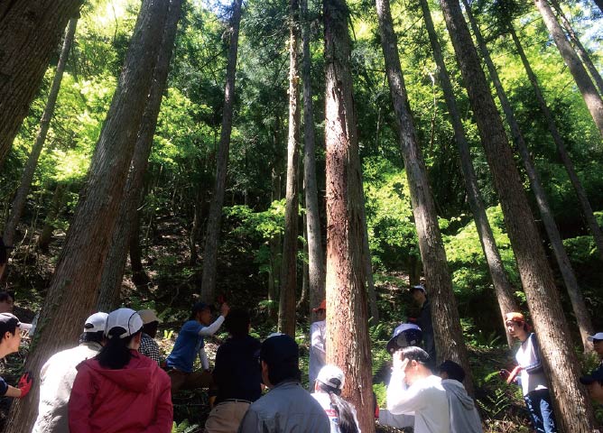 山の中で自然を満喫